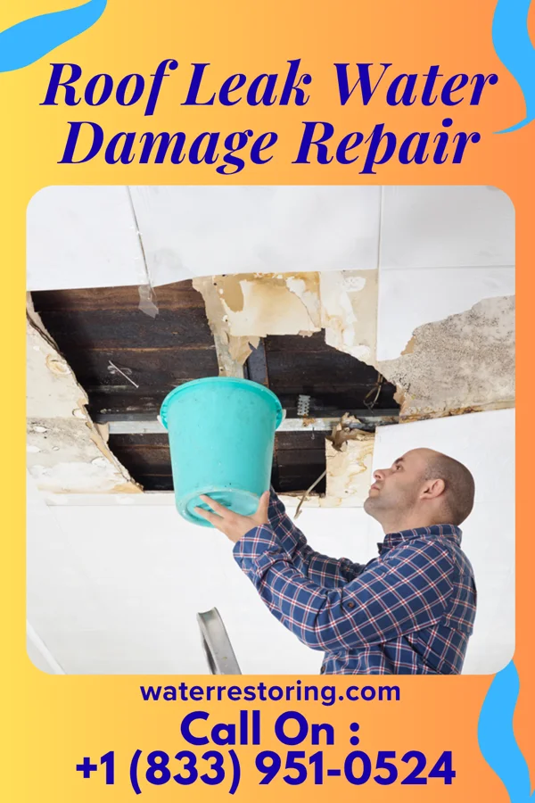 Roof Leak Water Damage Repair in Nibley, UT